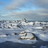 The Arctic