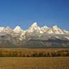 Fall Tetons