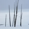 West Thumb Gyser Basin: Winter