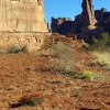 Spring in Arches
