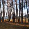 Fall on the Gros Ventre