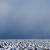 Antelope Flats