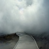 Into the Steam