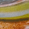 Yellowstone Bacterial Mats