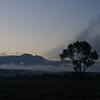 Dawn: Sleeping Indian