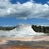 Castle Gyser- Yellowstone
