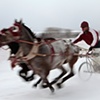 Cutters Race