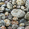 Summer Rain and River Rock