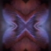 X2                    2006

11.5" x 15.5"
