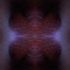 X1                    2006

12" x 16.5"