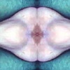 video paintings