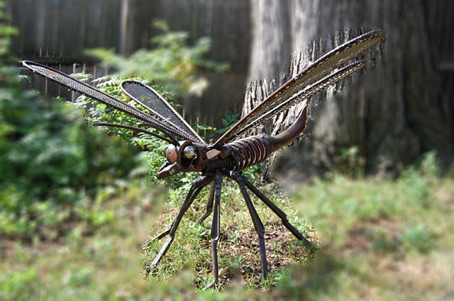 Dragonfly