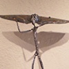 Butterfly Mask Dancer