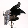 Bird Feeder