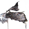 Bird Feeder