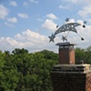 Chimney Cap