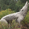 Wolf 1