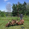 Cooperative Industrious Ant