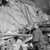 Carter in Rubble