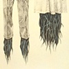 It Took the Siblings (detail)