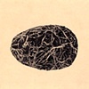 Root Ball