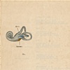 Item 11