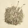 The day you were swallowed (detail)