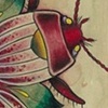 Water Beetle Cherry blossom