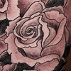 smokey roses
