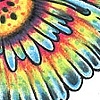 Tie Dye Butterfly