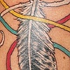 Eagle feather tattoo