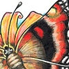 Butterfly with yellow flower