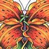Tiger Lily Butterfly
