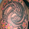 Feminine dragon with Cherry Blossoms