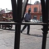Untitled (Cuernavaca)