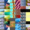 Untitled (TV landscape)
