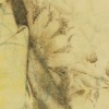 Compressed interval