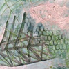 Web