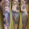 pheonix