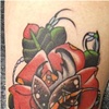 beetle rose-back of knee