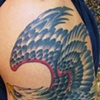 eagle and skull 