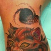 cat and black hole 