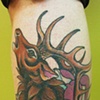 elk with lotus and water 