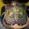 moth 