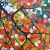 Branch