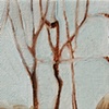 Bare Trees