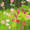Hollyhocks