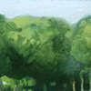 Beeches
