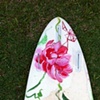 The Hawaii Files