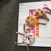 beforeshootdonutmarionettes